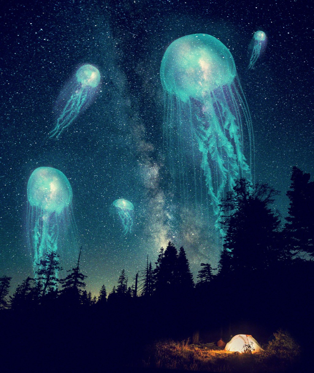 AW 01 LT What is graphic&nbsp;design?